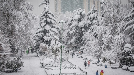 Forte nevasca que atingiu várias cidades no Irã , fecha  estradas e escolas (+ vídeo e fotos)