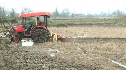 Masali bicoron 25 fayiz zımıstoni şum jıə bıə