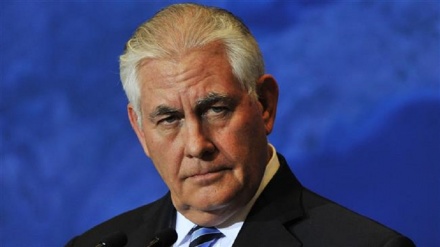 Egitto, Tillerson: Usa sostengono elezioni credibili