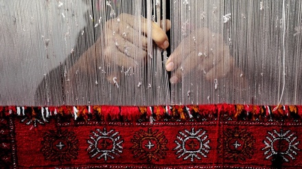 絨毯、イランの芸術、伝統、産業の結晶