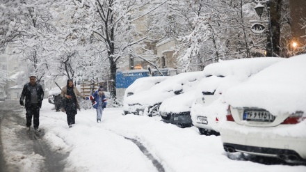 イランの北半分で大雪（動画）