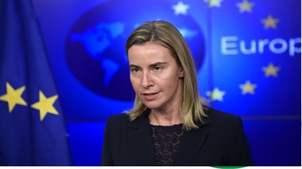 Mogherini'nin Afrin harekatından yoğun endişesi