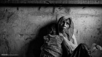 Potret Muslim Tertindas Rohingya