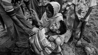 Potret Muslim Tertindas Rohingya
