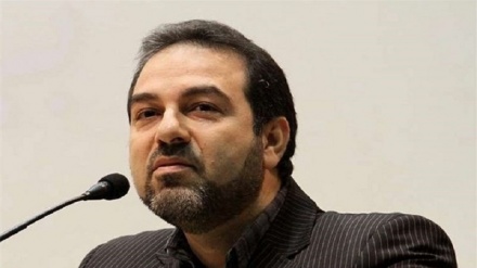 ضرورت اجرای طرح‌های بهداشتی مشترک بین کشورهای منطقه