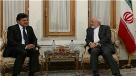 دیدار نماینده کمیساریای عالی پناهندگان سازمان ملل متحد در ایران با ظریف 