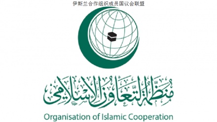 第13届伊斯兰合作组织成员国议会联盟会议下周将在德黑兰拉开帷幕