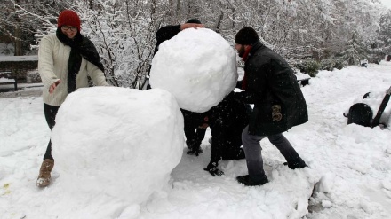 Ўзбекистонда об-ҳаво кескин совиб, қор ёғади  