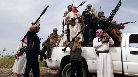 Congresista de EEUU: Trump apoya y ayuda a Al-Qaeda
