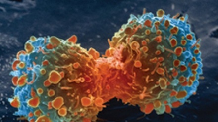 Molecole jolly e gene Thor, la lotta ai tumori diventa hi-tech