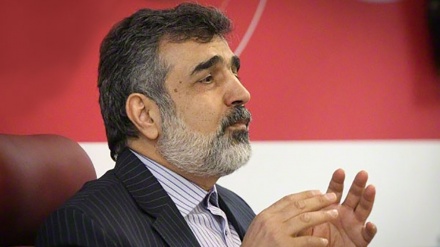 Spokesman: Foreign access to Iran's military sites impossible