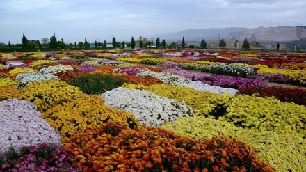 Imagens dos jardins persas em exposição na aquarela iraniana
