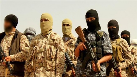 Daech approvisionné par l'ٍEurope