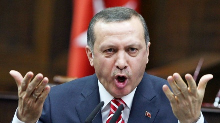 Erdoğan, NATO'ya karşı koyacak özel bir güç oluşturmak istiyor