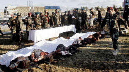 تلفات گروه طالبان در شمال افغانستان