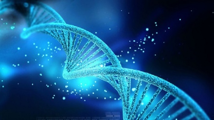Inquinamento turba Dna e scatena malattie