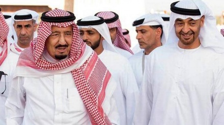 Baraza la Kiislamu Uswisi: Imarati inayaunga mkono makundi yaliyo dhidi ya Uislamu barani Ulaya