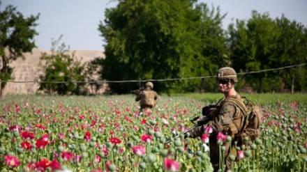 Afghanistan und die Seifenblase vom  wirtschaftlichen Wiederaufbau