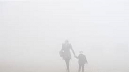 Germania, ipotesi trasporti pubblici gratuiti contro lo smog
