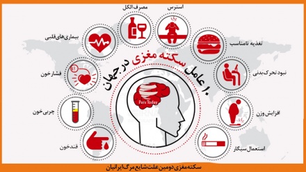 Даҳ омили сактаи мағзӣ дар ҷаҳон (тасвирбаён)