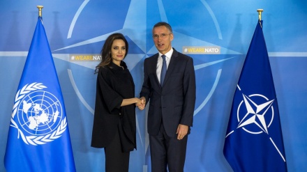 Angelina Jolie anëtarësohet në NATO