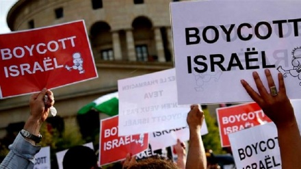 UN experts unveil letter slamming Germany's pro-Israel law targeting BDS movement