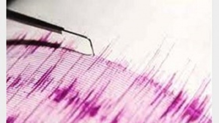 Terremoto nel Mare delle Filippine 