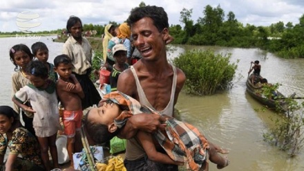 نسل کشی مسلمانان در میانمار 