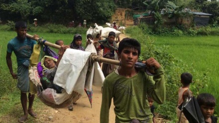 Investigasi Pengusiran Muslim Rohingya