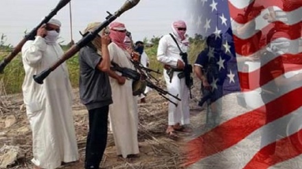 Con luz verde de EEUU, transfieren a terroristas a Arabia Saudí y EAU