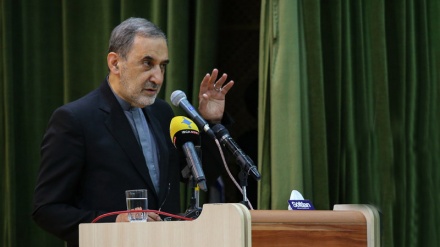 韦拉亚提：抵抗核心将把美国人赶出叙利亚幼发拉底河以东地区