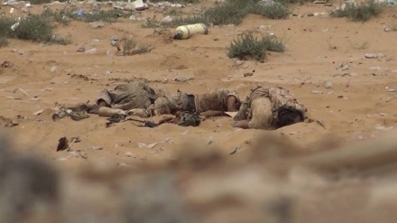 沙特数名士兵在该国西南部被打死