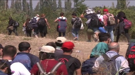 انتقاد سازمانهای حقوق بشری از اتحادیه اروپا درباره خشونت علیه مهاجران 