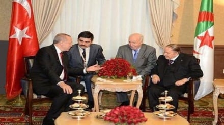 Erdoğan, Cezayir Cumhurbaşkanı ile görüştü