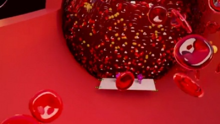 Nanorobot fatti di Dna uccidono 4 forme di tumore