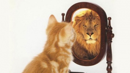 bagtyýarlyk çeşmesi