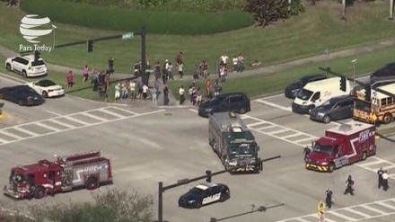 Amerika'lı üniversite hocası: Florida'daki silahlı saldırı, Amerika için milli skandaldır