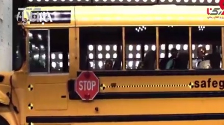 Автобуснинг ҳалокатга учраши ва унинг йўловчиларга етказадиган тасири