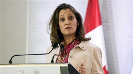 রোহিঙ্গা মুসলমানদের ওপর জাতিগত নিধন চালানো হয়েছে: কানাডা