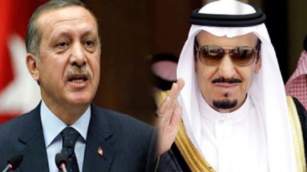 Turkish President, Saudi King discuss Syria military operations