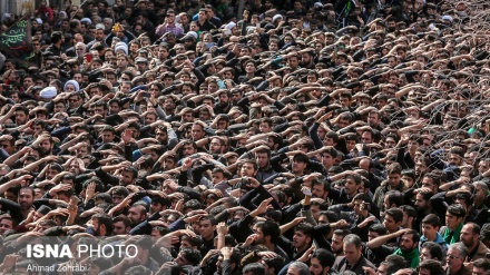 Fatimiyə rujon iyən İroni mıxtəlifə şəhronədə şəhidon təşyi mərosimon