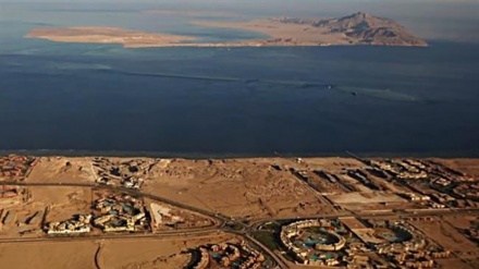 Egypt activists take int’l legal action against island deal with Saudi Arabia