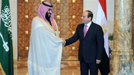 Riyadh, Cairo set up $10bn fund to develop Saudi megacity: Report