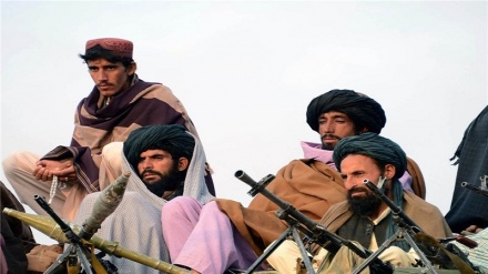کشته شدن هفت عضو طالبان در شرق افغانستان 