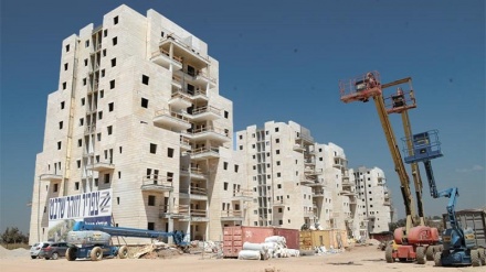 ה-OECD על 