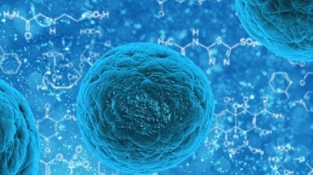 Ringiovanite le ovaie grazie alle cellule staminali