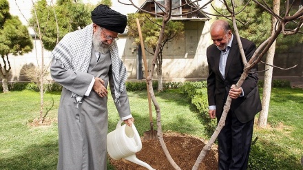 İslam İnkılabı Rehberi: Yetkililer, kentlerde ağaçlar ve bahçelerin yok olmasına engel olmalı