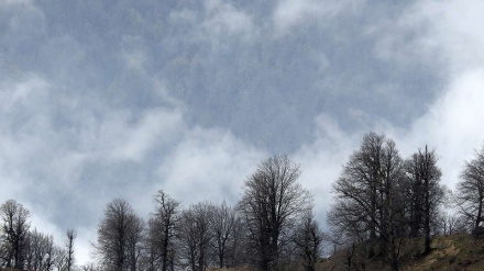 Masali Uləsəblənqa qıyə-2