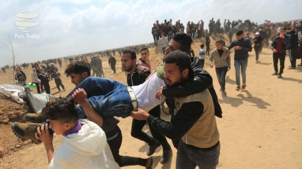 Circa 100 Palestinesi tra feriti e asfissiati dalle forze sioniste