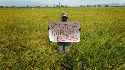 Petani Indonesia Masih Nelangsa